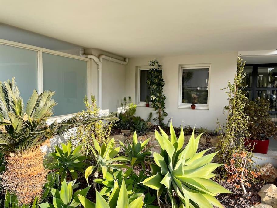 Apartamento 21 - Tres Agreable Rdc Avec Terrasse Et Parking Bandol Exterior foto