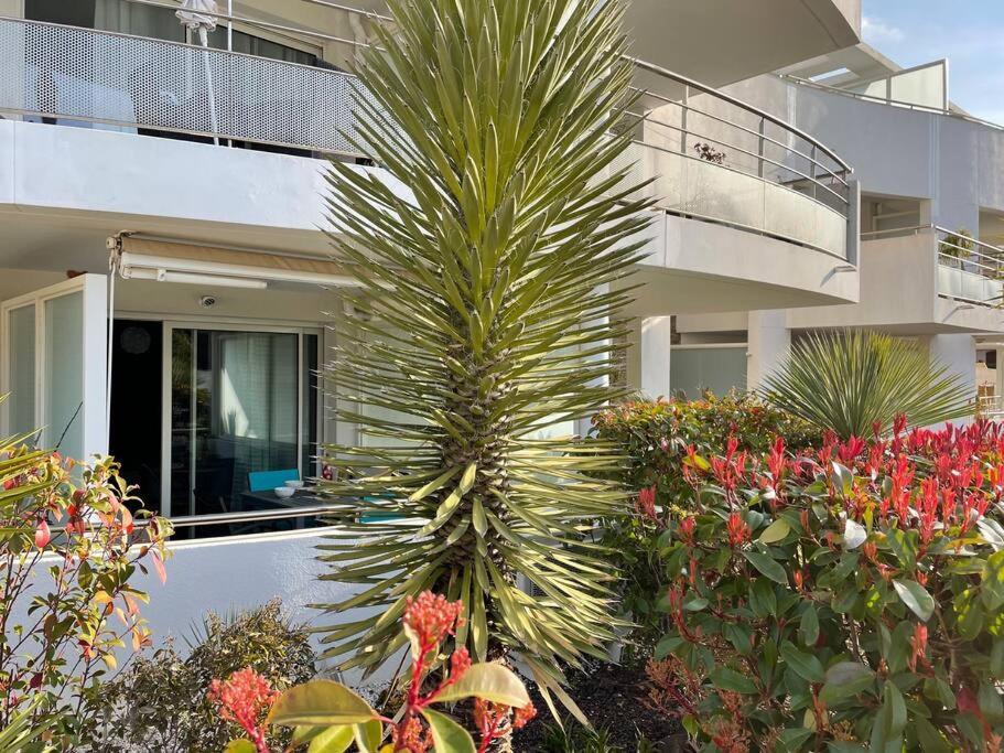 Apartamento 21 - Tres Agreable Rdc Avec Terrasse Et Parking Bandol Exterior foto