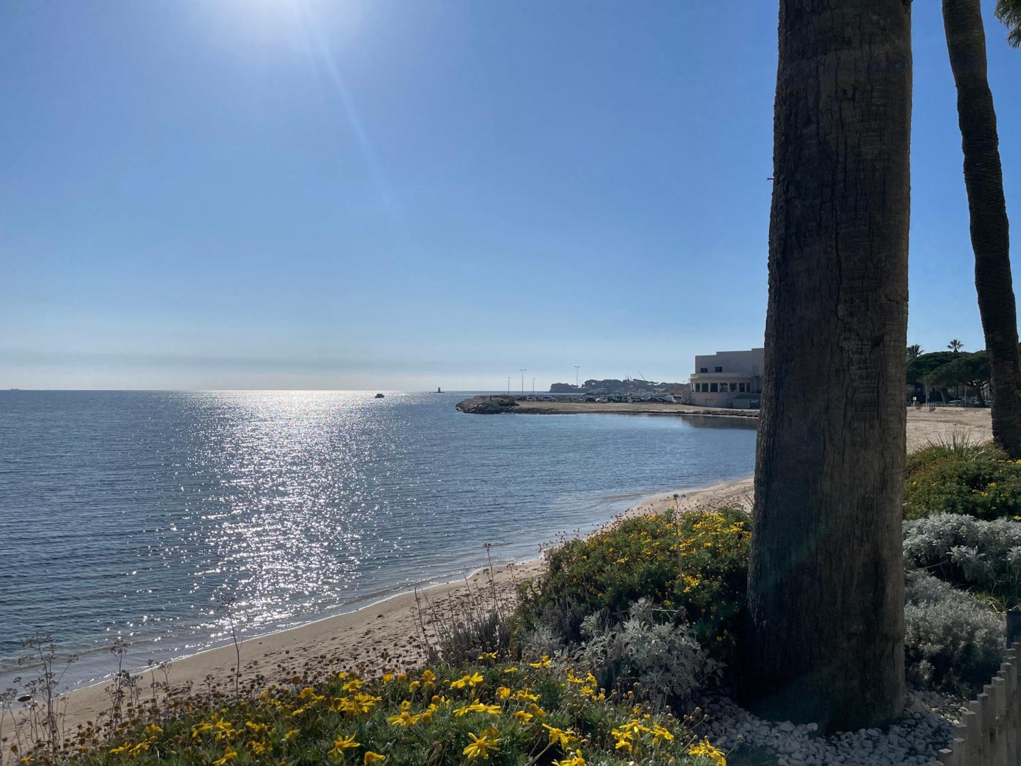 Apartamento 21 - Tres Agreable Rdc Avec Terrasse Et Parking Bandol Exterior foto